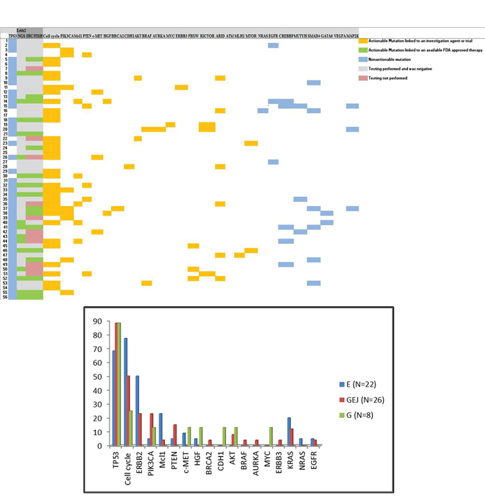 Figure 1A: Distribution of genomic alterations in patients tested with next-generation sequencing.