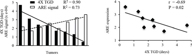 Correlation of pre-treatment ARE expression vs. tumor response to RRx-001 treatment.