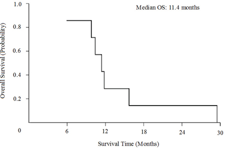 Kaplan-Meier curves for overall survival (OS).