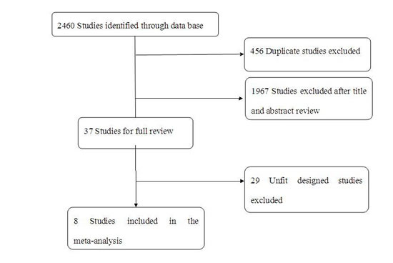 A flow chart on selection included of trials in the Meta-analysis.
