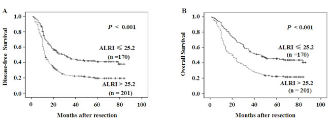 Kaplan-Meier survival curves of HCC patients after hepatectomy.