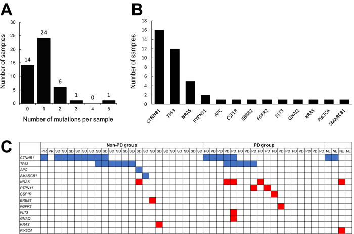 Analysis of somatic gene mutations in FFPE specimens obtained from HCC patients.