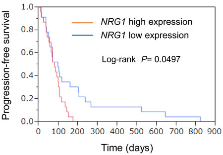 Association of gene expression profiles with PFS.