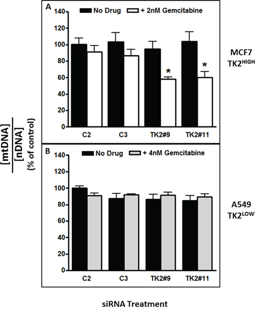 The combination of TK2 siRNA and gemcitabine decreased mitochondrial DNA content in TK2HIGH(MCF7) cells but not in TK2LOW(A549) cells.