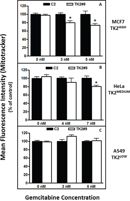 TK2 siRNA and gemcitabine decrease mitochondrial activity in TK2-expressing MCF7 and HeLa cells, but not in TK2LOW A549 cells.