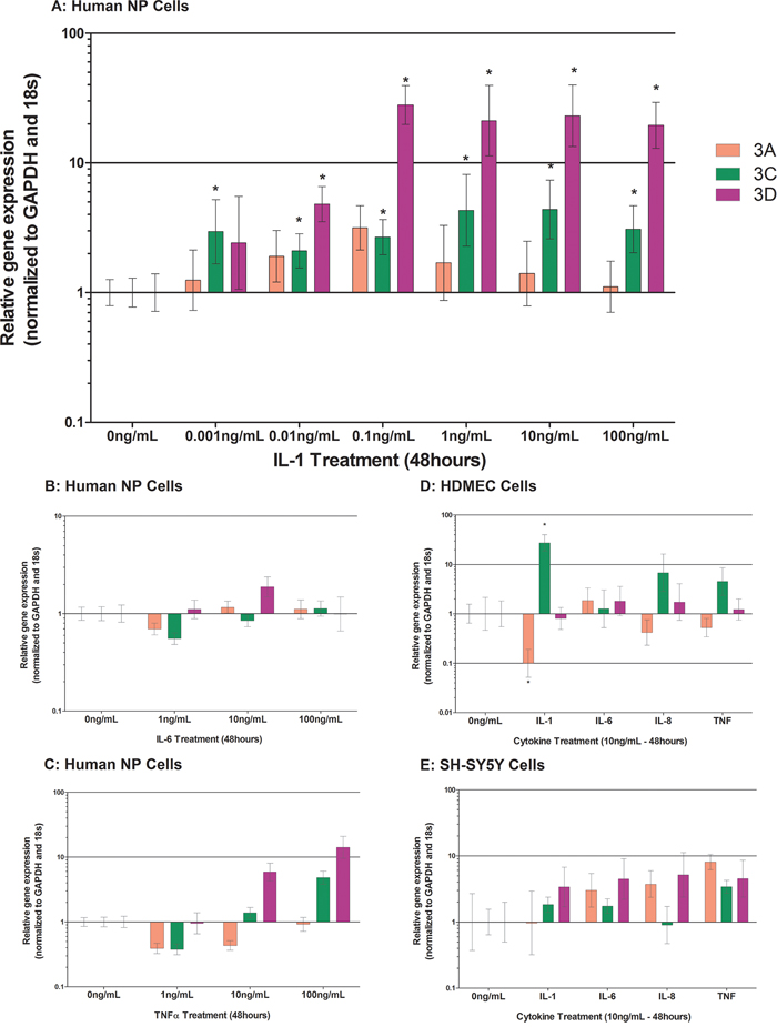 Cytokine regulation of Class 3 Semaphorins in human NP cells treated with IL-1&#x03B2; A. IL-6 B. and TNF&#x03B1; C. HDMECs D. and SH-SY5Y E. cells were treated with 10 ng/mL of IL-1&#x03B2;, IL-6, IL-8 or TNF&#x03B1;.