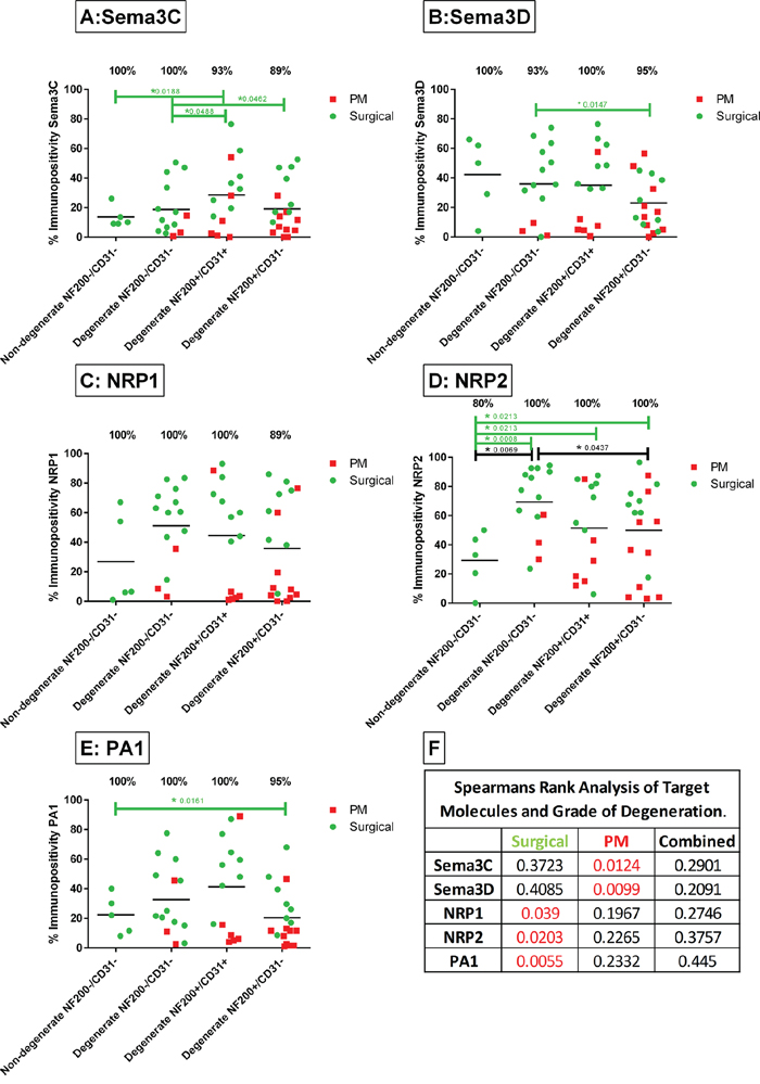 Immunopositivity of sema3C A. sema3D B. NRP1 C. NRP2 D. and PA1 E. in human NP tissues from surgically painful IVD&#x2019;s (green) and non-painful PM IVD&#x2019;s (red).