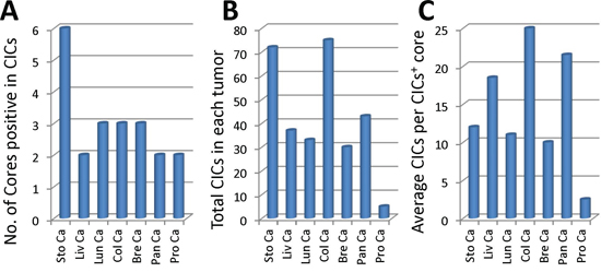 Profile of CICs detected in various tumor samples.