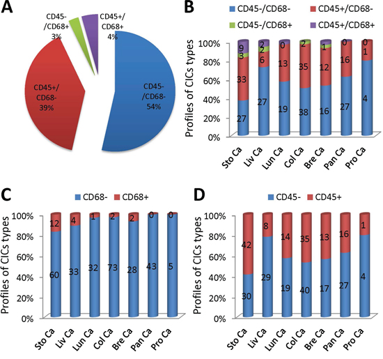 Analysis of CICs subtypes in human tumors.
