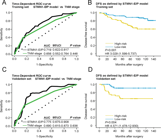 Time-dependent ROC curves for the prognosis of breast cancer by the STMN1-E/P model and Kaplan-Meier survivals in the training and validation sets.