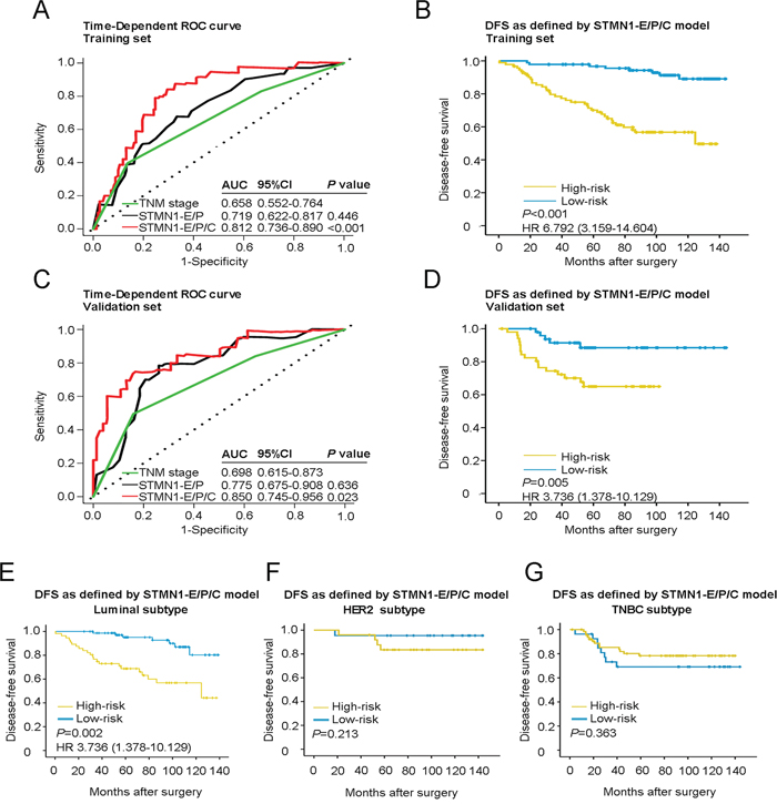 Time-dependent ROC curves for prognosis of breast cancer by the STMN1-E/P/C model and Kaplan-Meier survivals in patients of two sets and different subtypes of breast cancer with high- or low-risk according to the STMN1-E/P/C model.