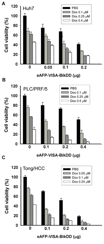 Cytotoxic effects of eAFP-VISA-BikDD plus Dox against human HCC cell lines in vitro.