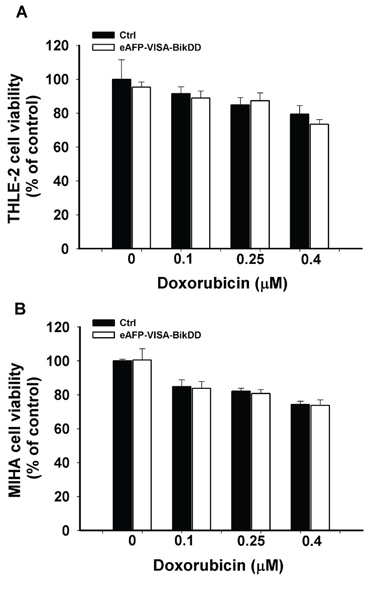 Cytotoxic effects of combining eAFP-VISA-BikDD and Dox in normal liver cell lines.