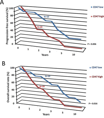 CD47 mRNA expression levels predict survival.