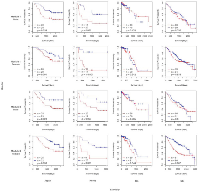 Kaplan-Meier curves of modules 1 and 3.