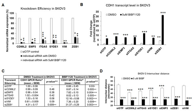 Effects of six mesenchymal signature genes on the nintedanib-induced EMT reversal.