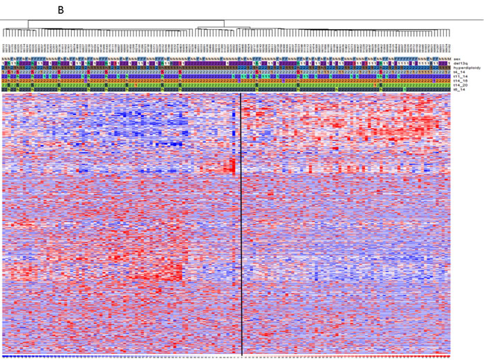 fig2b