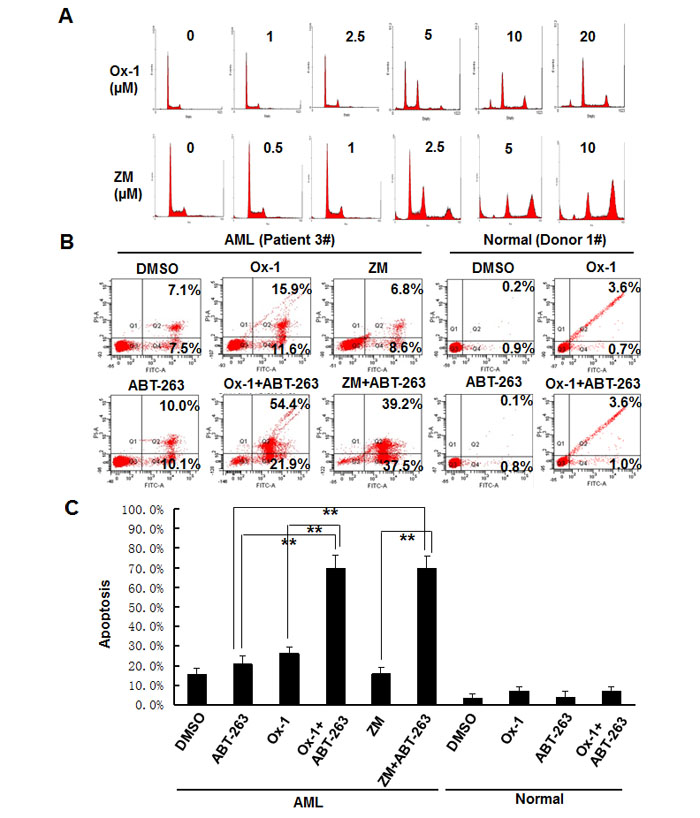 ABT-263 enhances the efficacy of small molecular inhibitors in primary AML blasts but not in normal primary bone marrow cells.