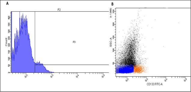 Flow cytometry analysis of the anti-CD133 antibody delivered with nanotubes.