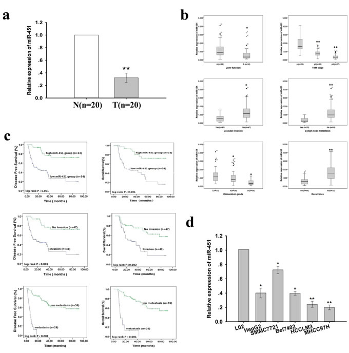 Expression of miR-451 in HCC cell lines and tissue samples.