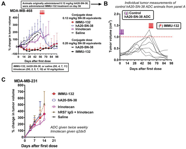 Therapeutic efficacy of IMMU-132 in TNBC xenograft models.