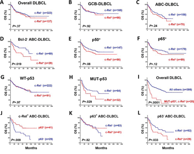 Prognostic significance of c-Rel nuclear expression in various DLBCL subsets.