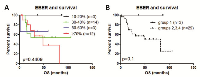 Survival analysis of variable EBER expression impact on survival.