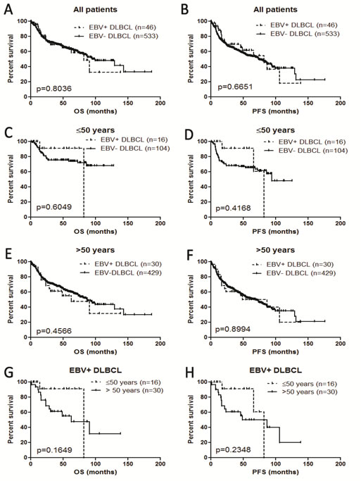 Survival analysis of EBV+ diffuse large B-cell lymphoma in all the patients and different age groups.