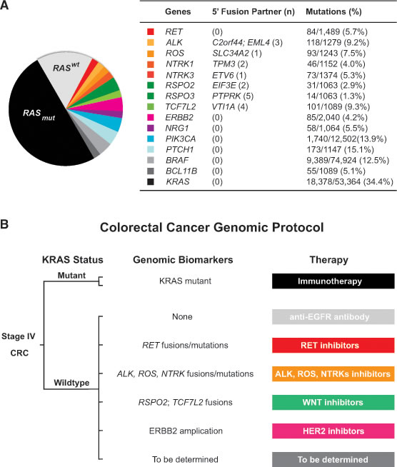 Colorectal cancer classification based on genomic biomarkers.