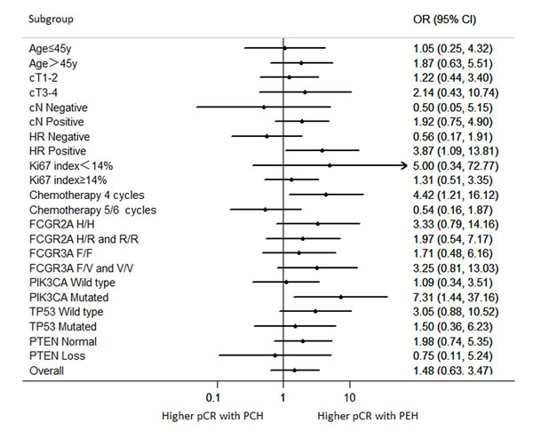 Odds ratios for achieving a pCR according to subgroups