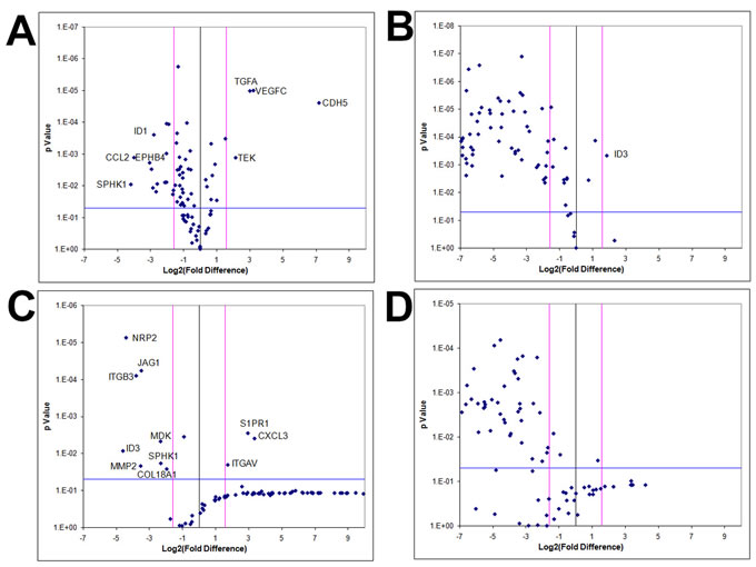 GBM cells exhibit tumor-derived angiogenic expression as a consequence of a 3D microenvironment