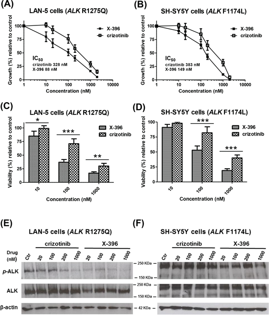 X-396 and crizotinib decrease the growth, viability and ALK-phosphorylation of LAN-5 and SH-SY5Y Neuroblastoma cell lines in vitro.