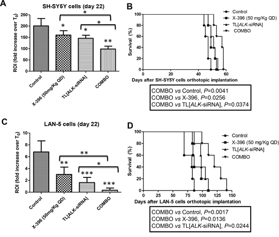 Targeted Liposomes entrapping siRNA against ALK show therapeutic efficacy in combination with X-396 in NB orthotopic models.
