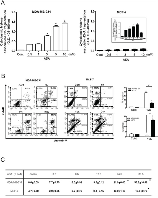 Hyperacetylation induced apoptosis in MDA-MB-231 cells but not in MCF-7 cells.