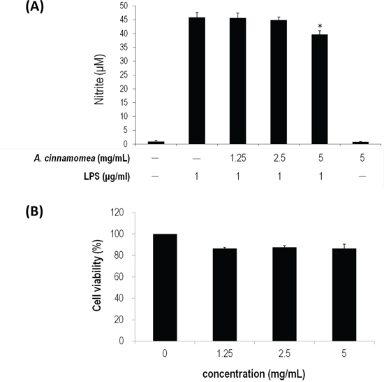 Inhibition of A. cinnamomea on NO production in LPS-stimulated RAW264.7 macrophages.