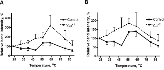 Thermal stabilization of recombinant MEK1 by Cu.