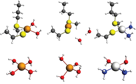 Models of the binding of Cu and Pt to the predicted Met56 and Cys104 site in MEK1/2.