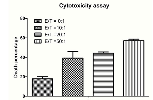 Cytotoxicity assay for therapy efficacy determination.
