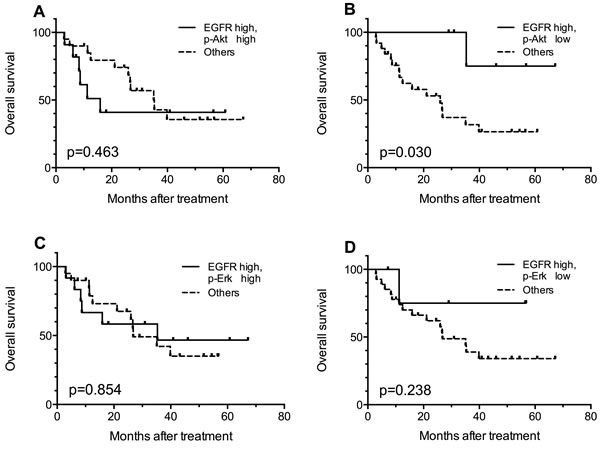 Kaplan-Meier curves for comparisons between EGFR high patients with certain p-Akt or p-Erk expression status and the rest of the patients.