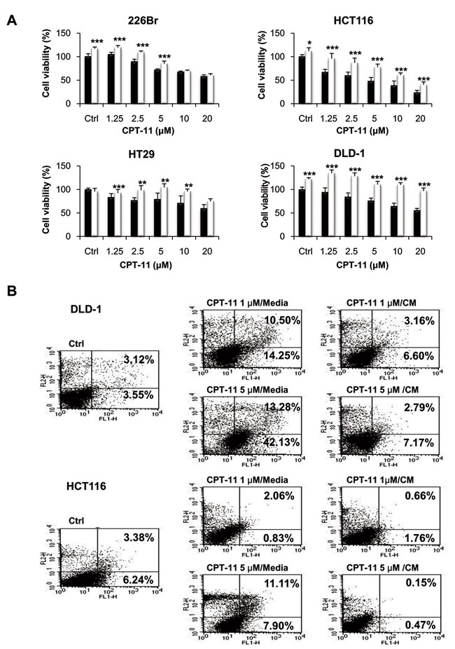 Conditioned media (CM) from fibroblasts enhances CPT-11 resistance in cancer cells.