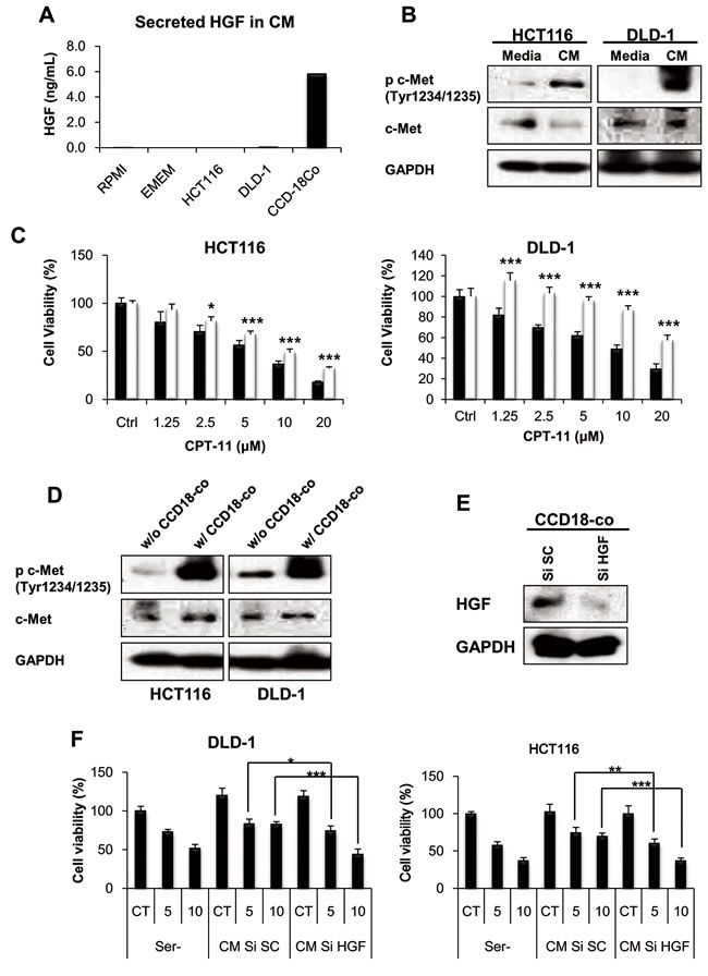 fibroblast-derived HGF activates c-MET receptor and induces CPT-11 resistance in colorectal cancer cell.
