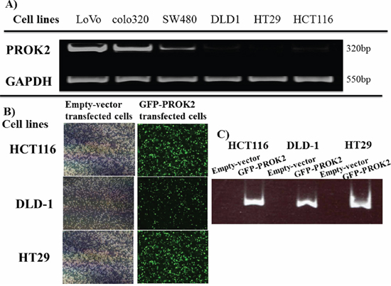 Figure 1: