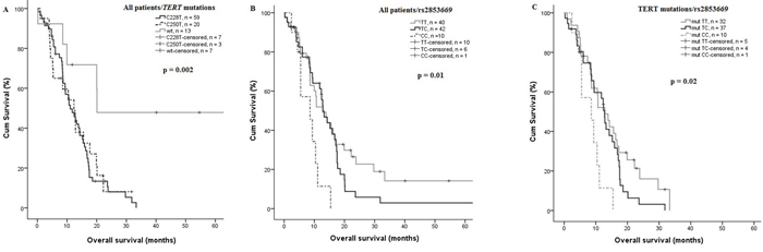 Effect of TERT promoter mutations on OS.