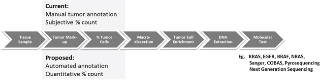 Comparison of current methods for macrodissection based on manual annotation (top) and the proposed automated tumor annotation for macrodissection (bottom).