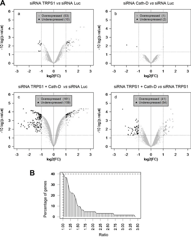 Cath-D influences TRPS1 transcription repression function.