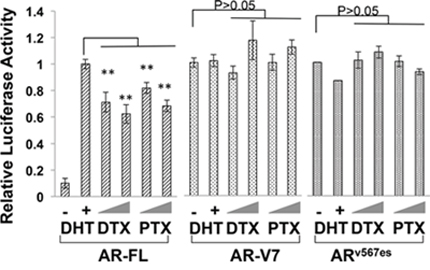 Transcriptional activities of constitutively active AR-Vs are refractory to taxane treatment.