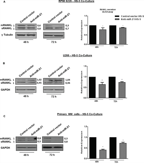 Constitutive miR-21 inhibition reduces RANKL production.