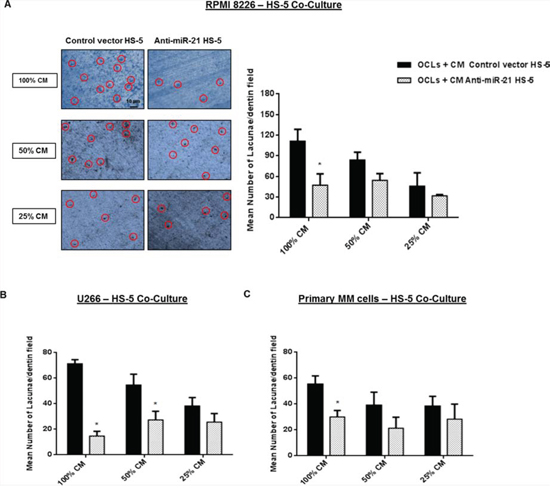 Exposure to co-culture medium from HS-5 stably expressing miR-21 inhibitors suppresses the OCLs activity.