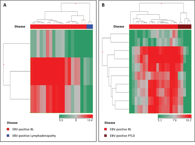 Supervised analysis (Mann-Whitney, p-value &#x003C; 0.05; fold change &#x003E;2) confirmed differences between EBV-positive BL and EBV-negative positive PTLD A. and EBV-positive lymphadenitis B. in terms of EBV-encoded miRNA. In the matrix (A, B), the dendrogram was generated using a hierarchical clustering algorithm based on the average-linkage method.