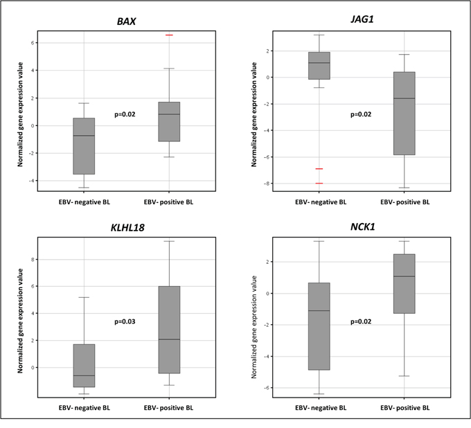 The expression levels of BAX, JAG1, KLH18, and NCK1 in Burkitt lymphoma according to EBV presence.